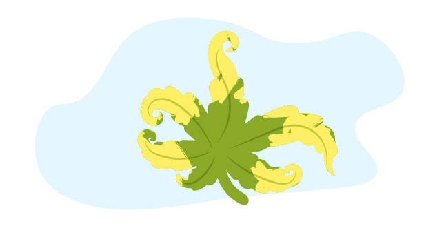 Последствия неблагоприятного температурного режима