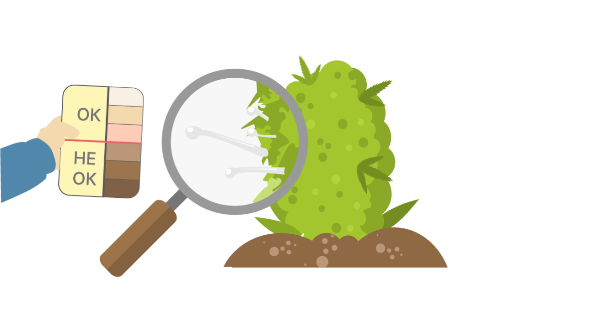 Определение зрелости соцветий