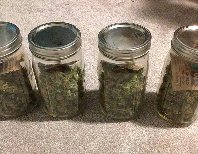 Собранный урожай