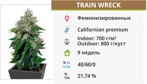 Trainwreck