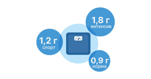 Усвоение протеина и правильное распределение его в организме
