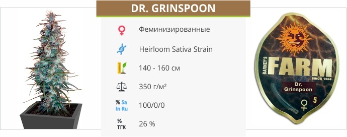 Dr. Grinspoon 