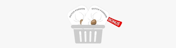 Бонусные семена от Dutch Passion
