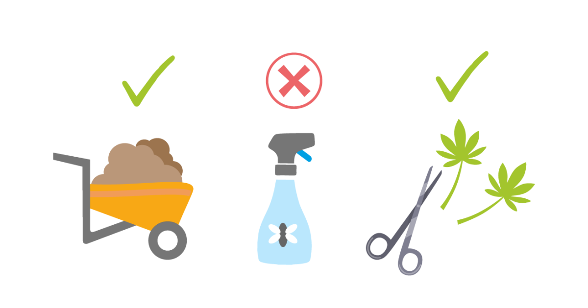 Как растить автоцвет в аутдоре