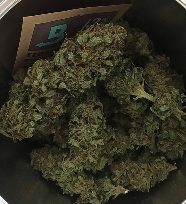 Собранный урожай