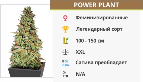 Power Plant