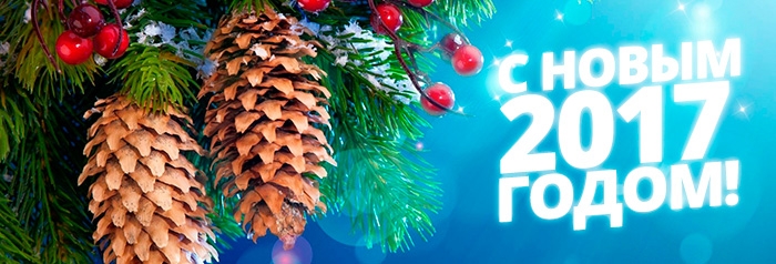 С новым 2017 годом!