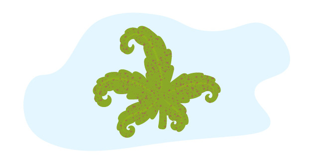 Табачная мозаика на листе