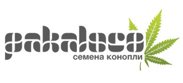 Pakaloco магазин семян