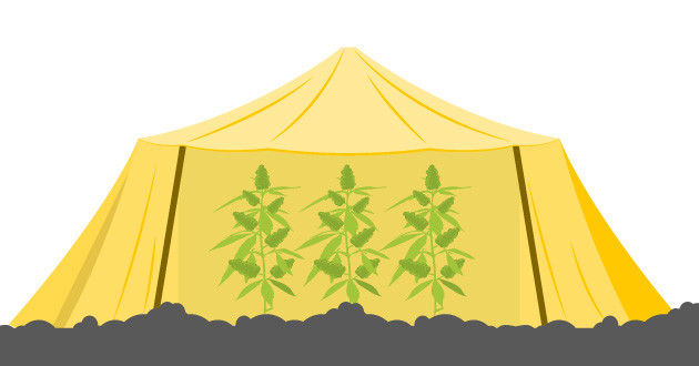 Создание искусственной тени для каннабиса в жарких условиях Создание затеняющих решений для каннабиса в жарком климате