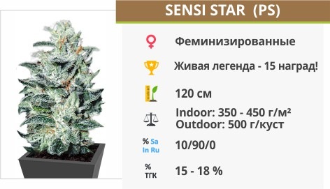 Sensi Star