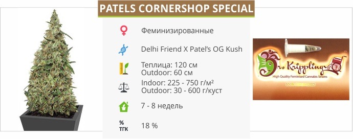 Patels Cornershop Special