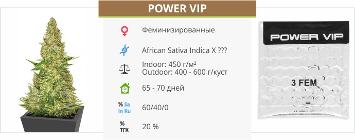 Power Vip