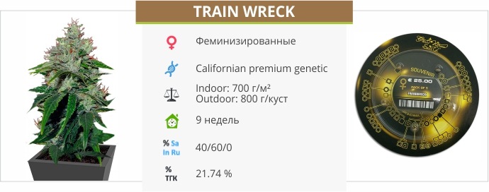 Trainwreck
