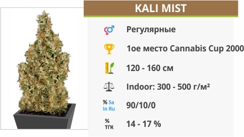 Kali Mist