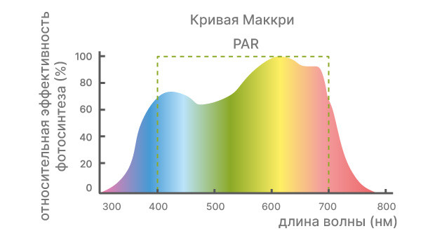 Исследования обычного освещения каннабиса