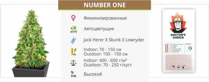 Number One auto (Doctor’s Choise) Number One auto (Doctor’s Choise)