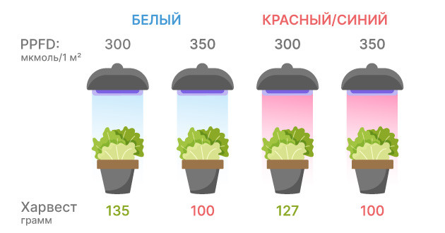 Последние достижения в исследованиях освещения каннабиса