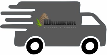 переезд сайта