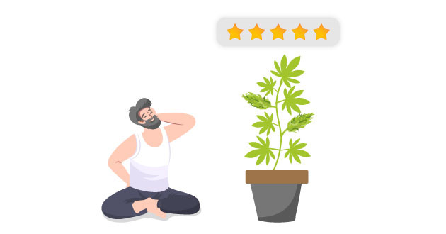 Сатива для новичков