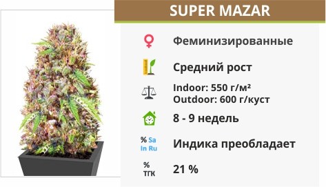 Super Mazar