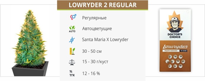 Lowryder #2 auto regular (Doctor’s Choise)