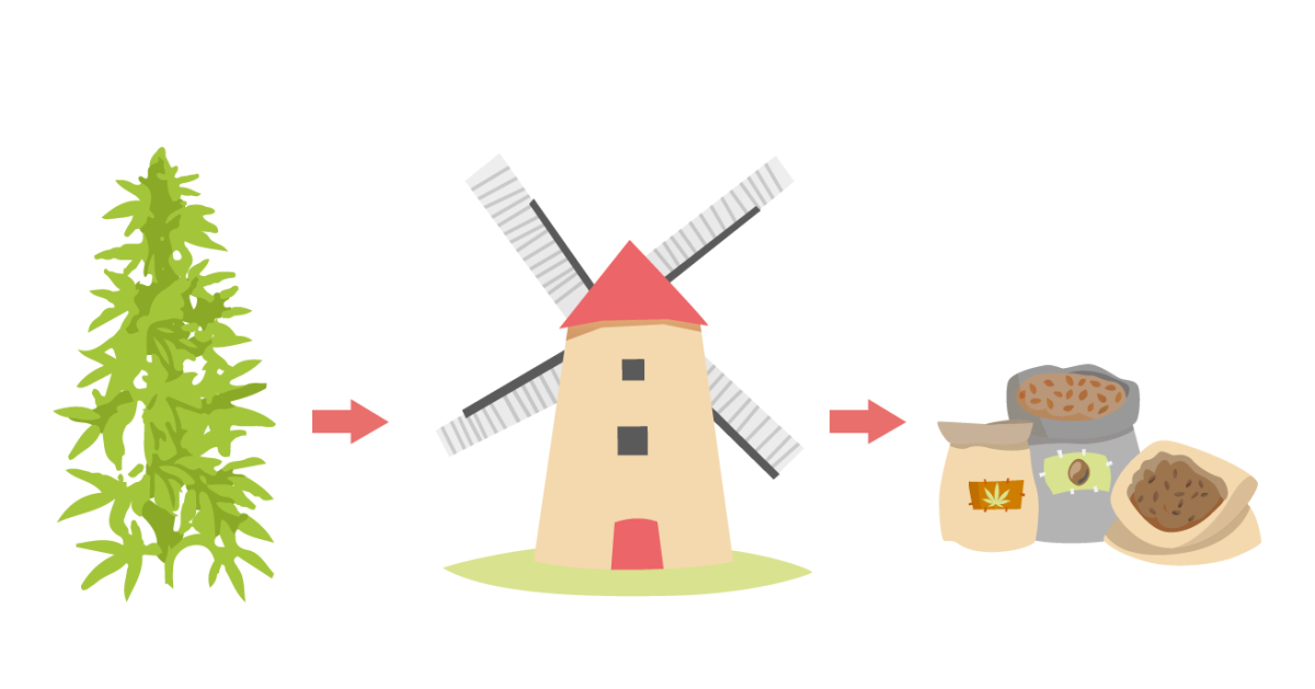 Как употреблять конопляную клетчатку Использование клетчатки из конопли