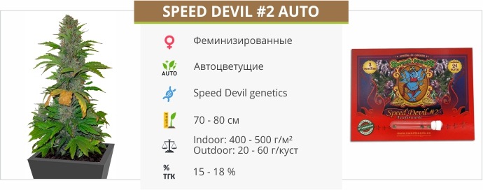 Speed Devil #2 Auto