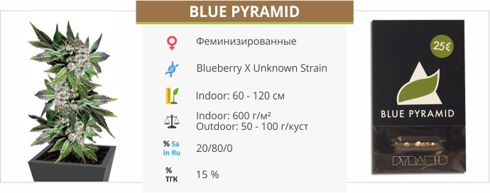 Blue Pyramid