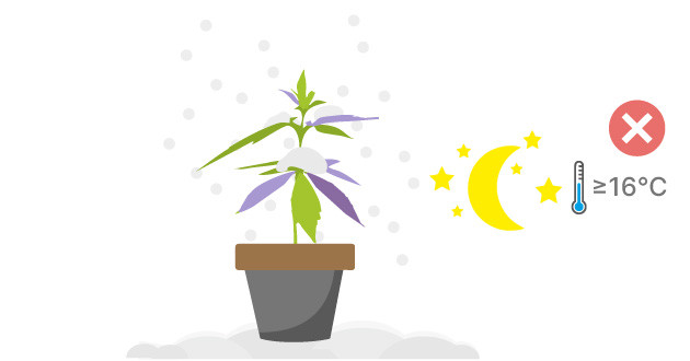 Понижение температуры и образование плесени