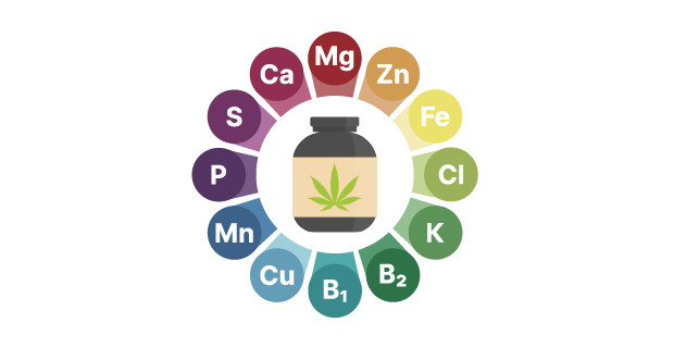 Полезные вещества в конопляном протеине