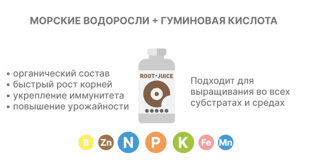 Стимулятор корнеобразования Root Juice от Bio Bizz Применение Root Juice и питательных комплексов для черенкования конопли