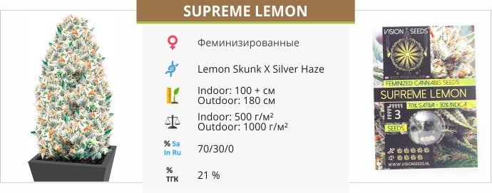 Supreme Lemon