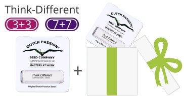 акция 3+3 7+7 акция от dutch-passion