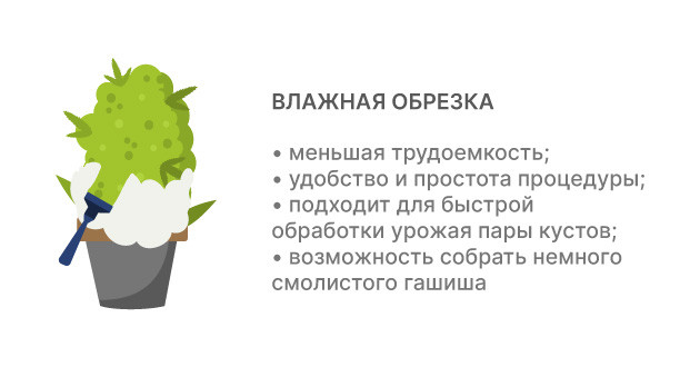 Влажный тримминг: подход при малом количестве кустов Влажный тримминг: использование обрезков