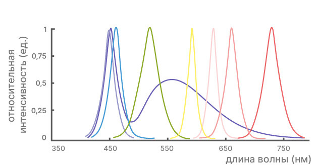 Кривая МакКри: максимизация красного света для роста каннабиса
