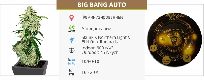 Big Bang auto
