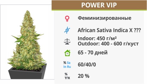 Power Vip