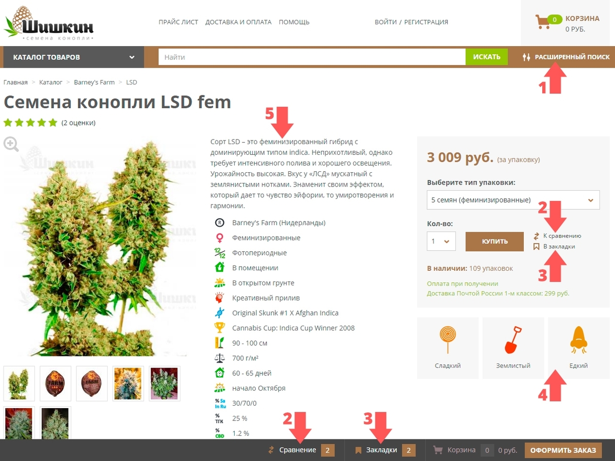 обновленный сайт Шишкин