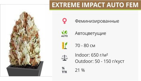 Сорт конопли Extreme Impact Auto Extreme Impact Auto fem (Heavyweight Seeds)