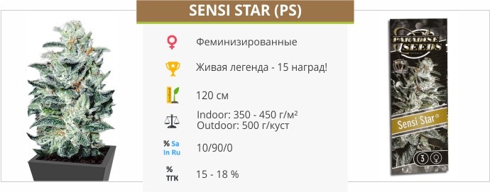 Sensi Star