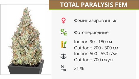 Total Paralysis fem от Heavyweight Seeds