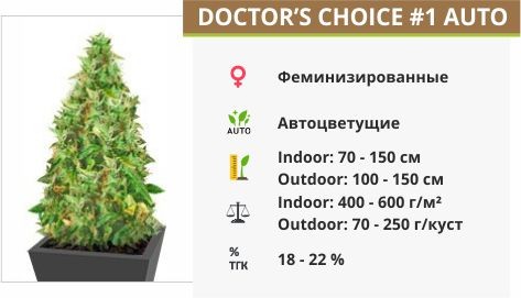 Doctor’s Choiсe 1 auto fem (Doctor’s Choice)