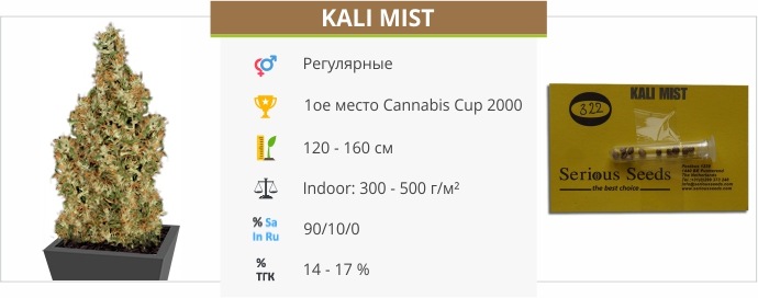 Kali Mist