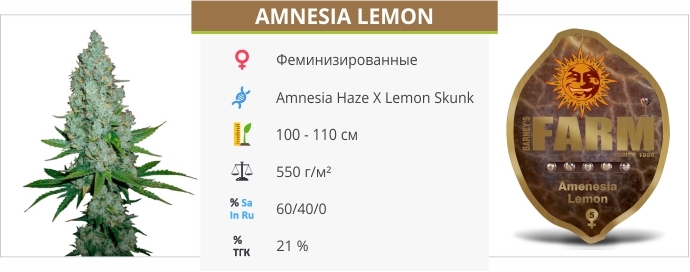 описание сорта Amnesia Lemon