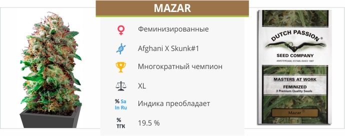 Mazar
