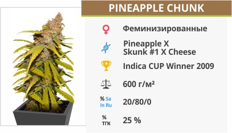 Pineapple Chunk