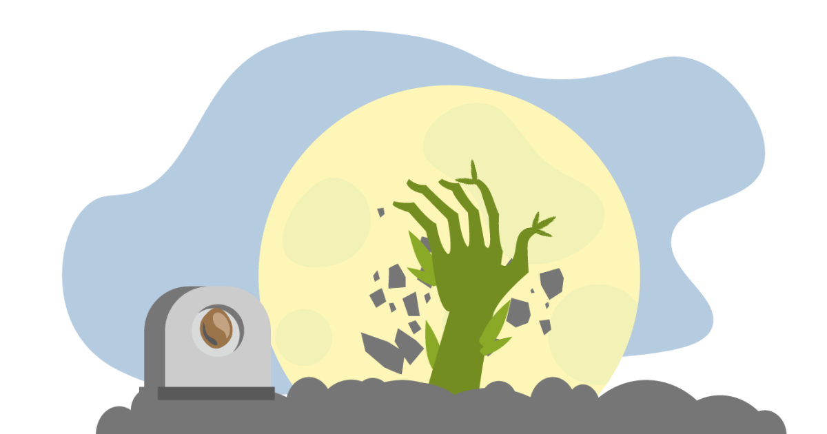 Советы по проращиванию семян