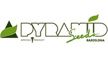 Pyramid Seeds сидбанк