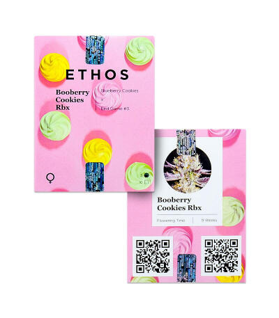 Booberry Cookies RBX fem (Ethos Genetics) семена конопли
